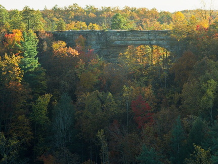 Red River Gorge in Fall